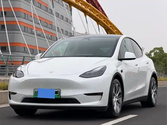 Tesla Model Y Model Y 2021 Standard Range Rear-Wheel Drive Version — фото
