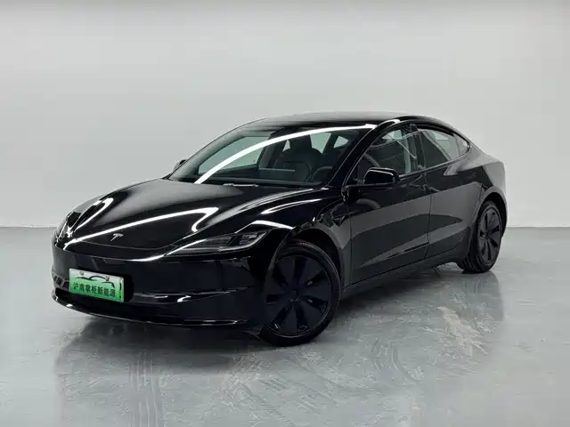 Tesla Model 3 Model 3 2023 Rear-Wheel Drive Version — фото