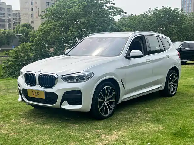 Bmw Bmw X3 Bmw X3 2020 Xdrive30i Leading M Sports Package — фото