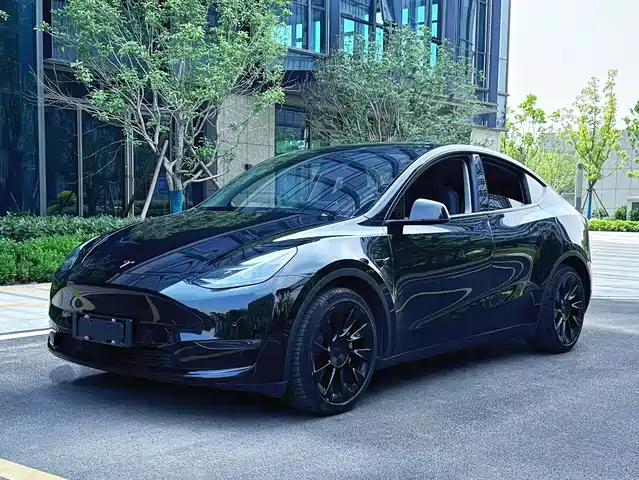Tesla Model Y Model Y 2021 Standard Range Rear-Wheel Drive Version — фото