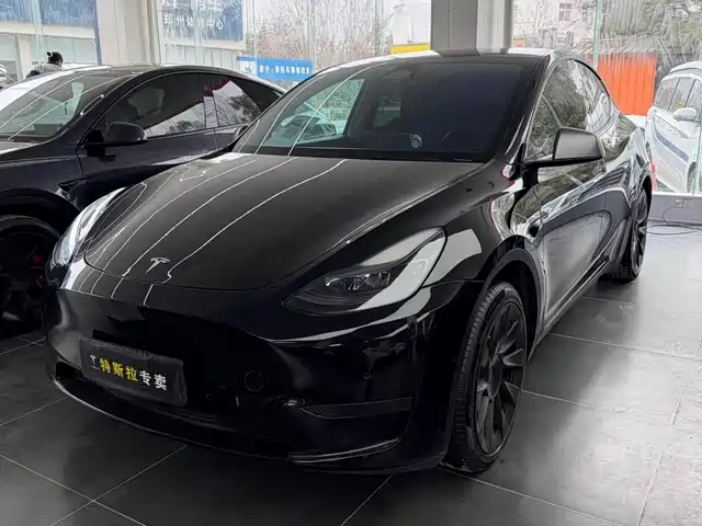 Tesla Model Y Model Y 2022 Rear-Wheel Drive Version — фото