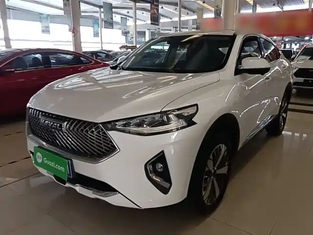 Harvard Haval F7x Haval F7x 2021 2.0t Two-Wheel Drive Extremely Smart Technology Version — фото