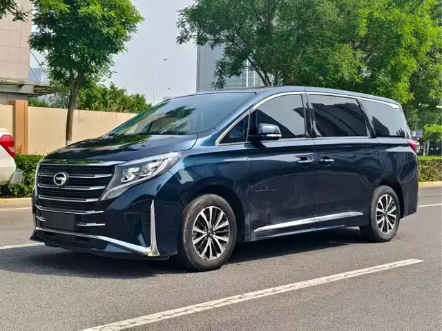 Gac Trumpchi Trumpchi M8 Trumpchi M8 2023 Master Series 390t Premium Edition — фото