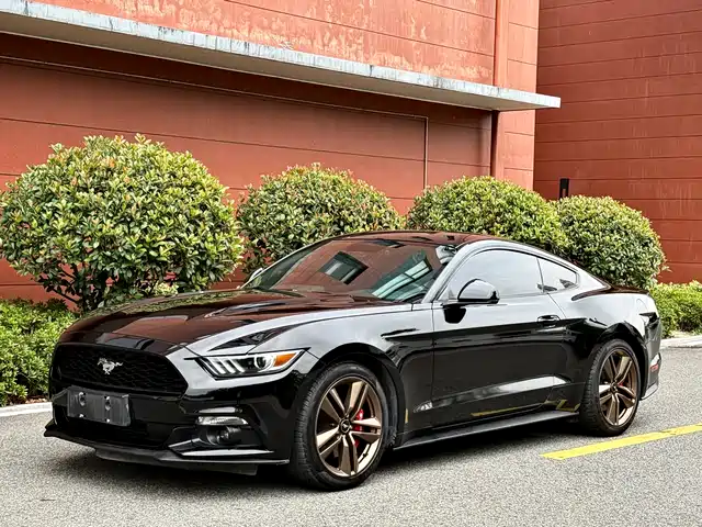 Ford Mustang Mustang 2017 2.3t Performance Edition — фото