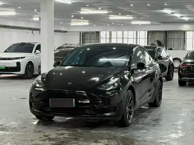 Tesla Model Y Model Y 2023 Rear-Wheel Drive Version — фото