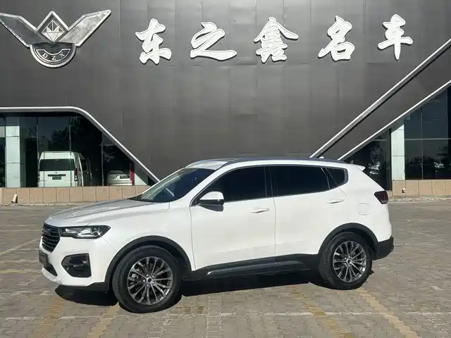 Harvard Haval H6 Haval H6 2019 Blue Label 1.5gdit Automatic Luxury Connected Edition — фото
