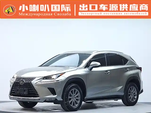Lexus Lexus Nx Lexus Nx 2020 200 Awd Fengshang Edition National Vi — фото
