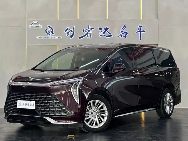Buick Century Century 2023 2.0t Six-Seater Yuanshi Edition — фото