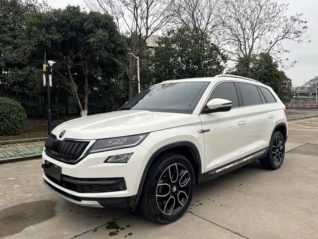 Skoda Kodiak Kodiak 2018 Tsi330 7-Seat Two-Wheel Drive Luxury Premium Version