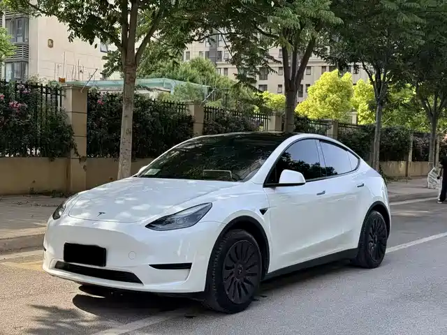 Tesla Model Y Model Y 2022 Facelift Rear-Wheel Drive Version — фото
