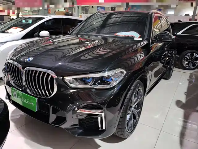 Bmw Bmw X5 Bmw X5 2022 Facelift Xdrive 40li M Sports Package — фото