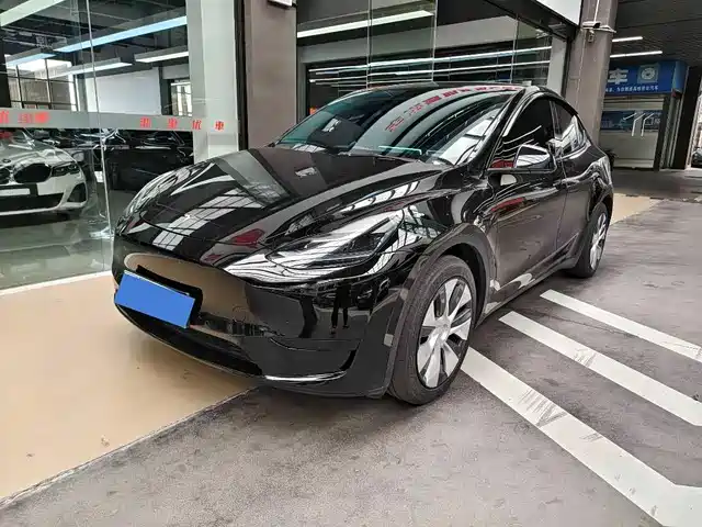 Tesla Model Y Model Y 2023 Long-Range All-Wheel Drive Version — фото