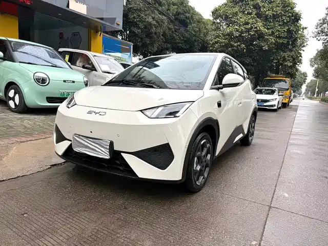 Byd Seagull Seagull 2025 Smart Driving Version 305km Free Version — фото