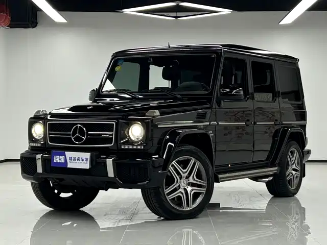 Mercedes-Benz Mercedes-Benz G-Class Amg Mercedes-Benz G-Class Amg 2013 Amg G 63
