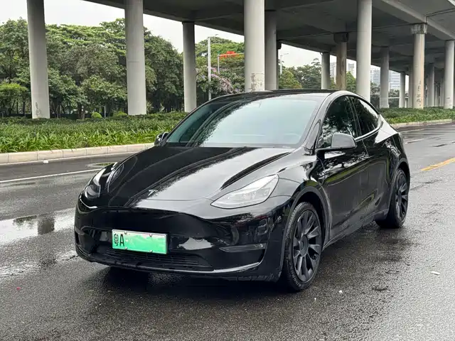 Tesla Model Y Model Y 2021 Standard Range Rear-Wheel Drive Version — фото