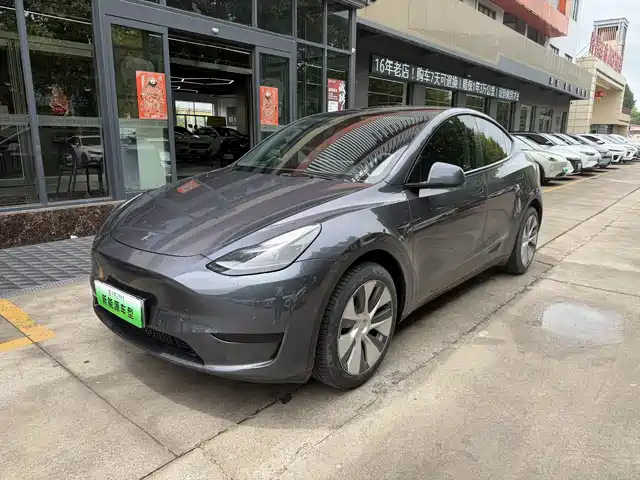 Tesla Model Y Model Y 2022 Facelift Rear-Wheel Drive Version — фото