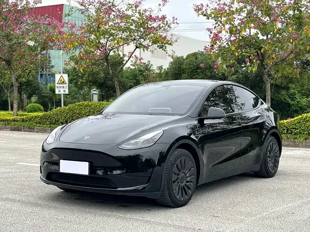 Tesla Model Y Model Y 2023 Rear-Wheel Drive Version — фото