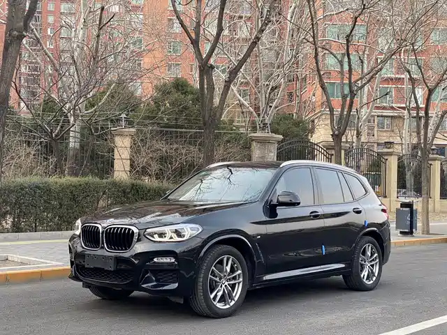 Bmw Bmw X3 Bmw X3 2018 Xdrive30i Leading M Sports Package National V — фото
