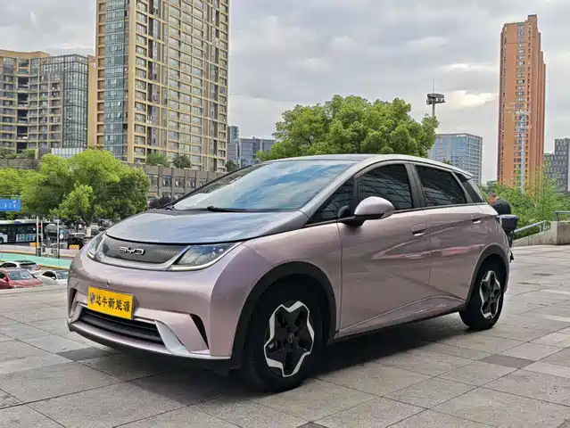 Byd Dolphin Dolphin 2021 405km Fashion Version — фото