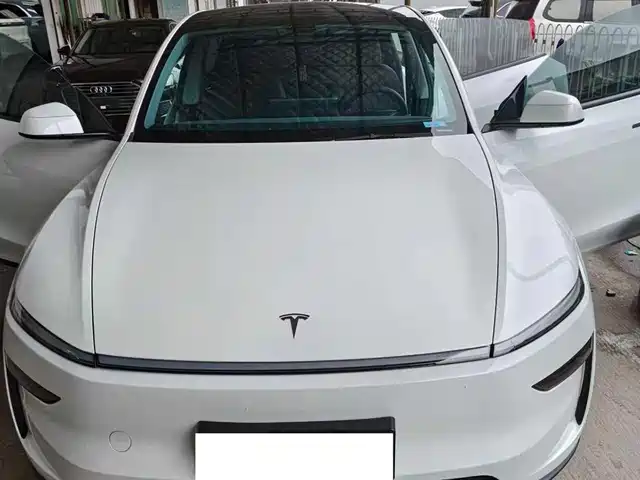 Tesla Model Y Model Y 2025 Rear-Wheel Drive Version — фото