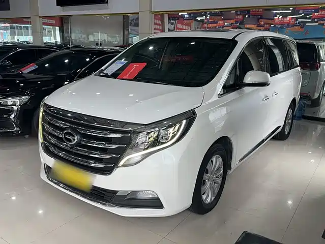 Gac Trumpchi Trumpchi M8 Trumpchi M8 2018 320t Exclusive Edition — фото