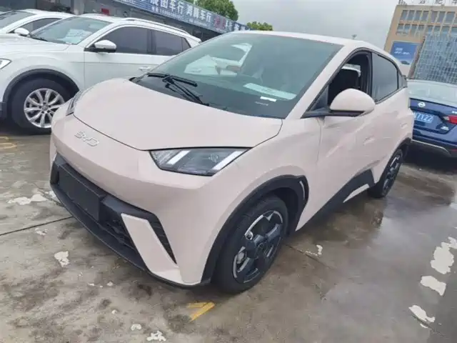 Byd Seagull Seagull 2024 Honor Edition 305km Free Edition — фото