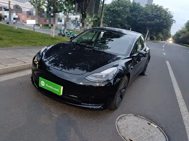 Tesla Model 3 Model 3 2022 Rear-Wheel Drive Version — фото