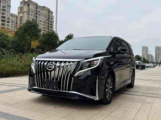 Gac Trumpchi Trumpchi M8 Trumpchi M8 2018 320t Premium Edition — фото