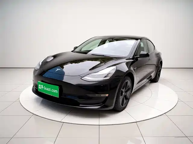 Tesla Model 3 Model 3 2021 Standard Range Rear Drive Upgraded Version — фото