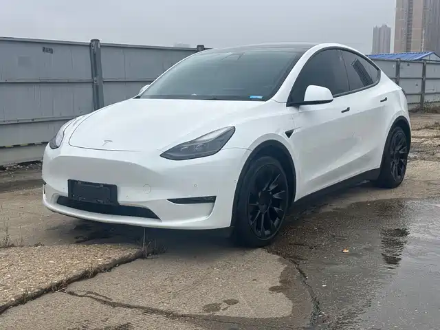 Tesla Model Y Model Y 2021 Long-Range All-Wheel Drive Version 3d7 — фото