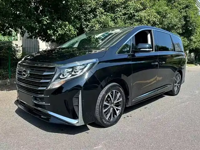 Gac Trumpchi Trumpchi M8 Trumpchi M8 2021 Lead Show Series 390t Exclusive Edition — фото