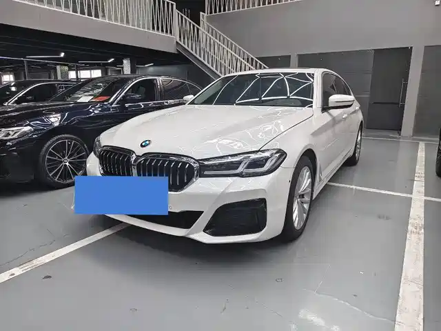 Bmw Bmw 5 Series Bmw 5 Series 2020 530li Leading Luxury Package — фото