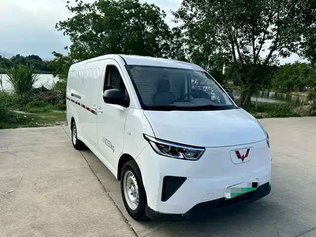 Wuling Motors Wuling Yangguang Wuling Yangguang 2024 300km Practical Window-Sealed Version 60kw — фото
