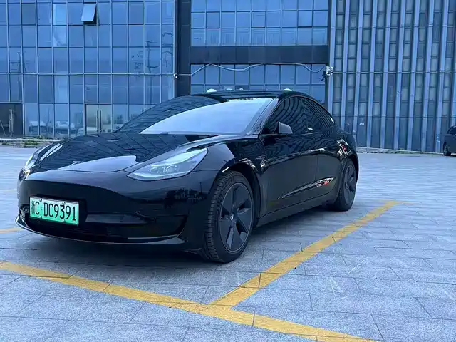 Tesla Model 3 Model 3 2021 Standard Range Rear Drive Upgraded Version — фото