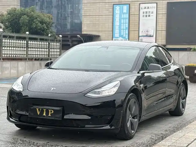 Tesla Model 3 Model 3 2020 Facelift Standard Range Rear-Wheel Drive Upgraded Version — фото