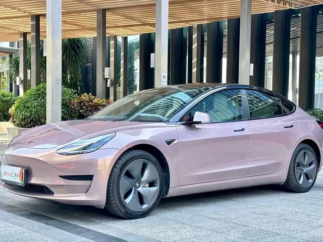 Tesla Model 3 Model 3 2020 Standard Range Rear Drive Upgraded Version — фото