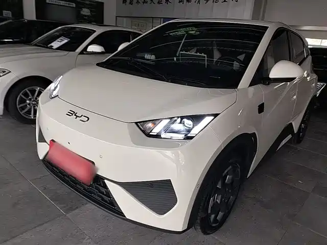 Byd Seagull Seagull 2025 Smart Driving Version 305km Free Version — фото