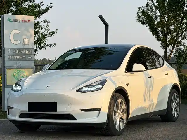 Tesla Model Y Model Y 2022 Facelift, Long-Range All-Wheel Drive Version — фото
