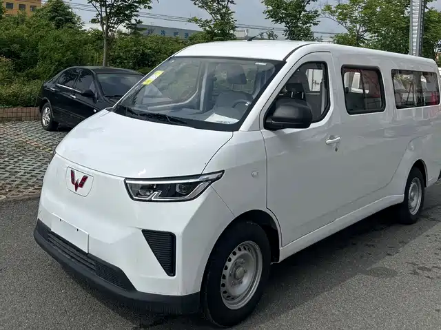Wuling Motors Wuling Yangguang Wuling Yangguang 2024 300km Comfort Bus Version 75kw — фото