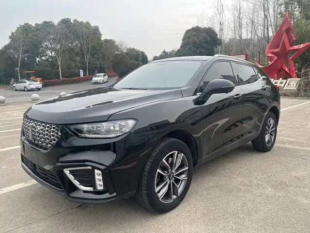 Wei Brand Wei Brand Vv5 Wei Brand Vv5 2021 1.5t Two-Wheel Drive Yanfeng — фото