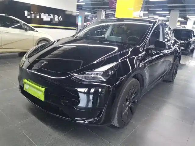 Tesla Model Y Model Y 2023 Rear-Wheel Drive Version — фото