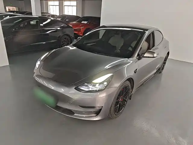 Tesla Model 3 Model 3 2021 Performance High-Performance All-Wheel Drive Version — фото