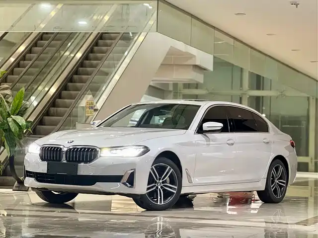 Bmw Bmw 5 Series Bmw 5 Series 2021 530li Leading Luxury Package — фото
