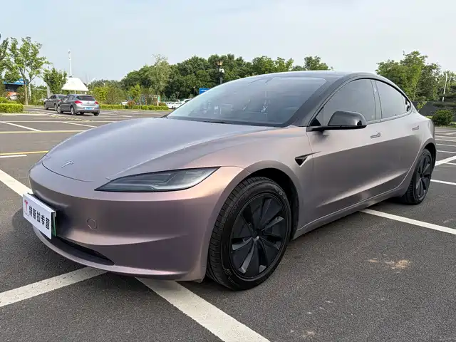 Tesla Model 3 Model 3 2025 Rear-Wheel Drive Version — фото