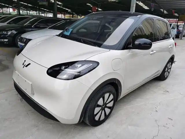 Wuling Motors Wuling Bingo Wuling Bingo 2024 Model 333km Yuexiang Model — фото