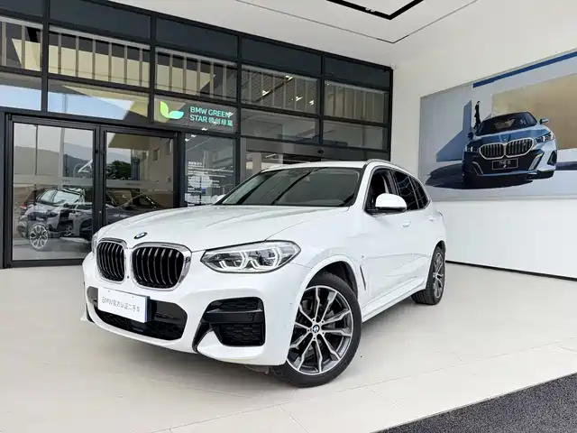 Bmw Bmw X3 Bmw X3 2021 Xdrive30i Leading M Sports Package — фото