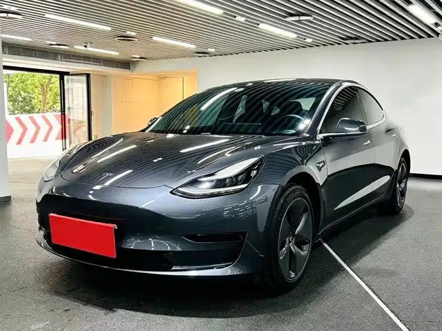 Tesla Model 3 Model 3 2020 Standard Range Rear Drive Upgraded Version — фото