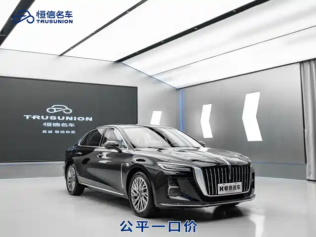 Red Flag Hongqi H5 Hongqi H5 2023 2.0t Automatic Zhilianqichang Edition — фото
