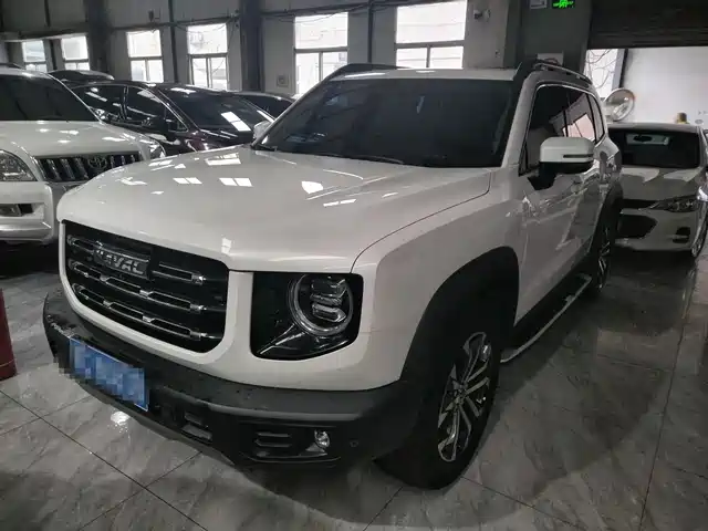 Harvard Harvard Dog Haval Big Dog 2022 1.5t Dct Two-Wheel Drive Border Collie Version — фото