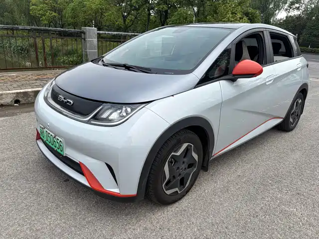 Byd Dolphin Dolphin 2021 405km Fashion Version — фото
